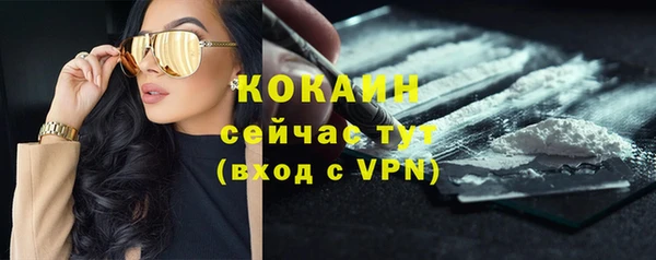 тгк Арсеньев