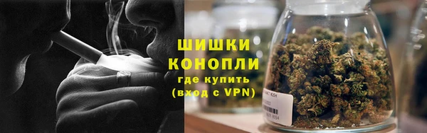 тгк Арсеньев