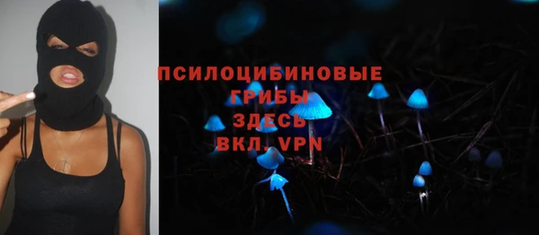 прущая мука Армянск