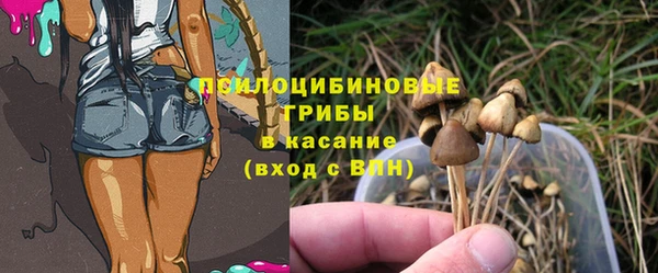 прущая мука Армянск